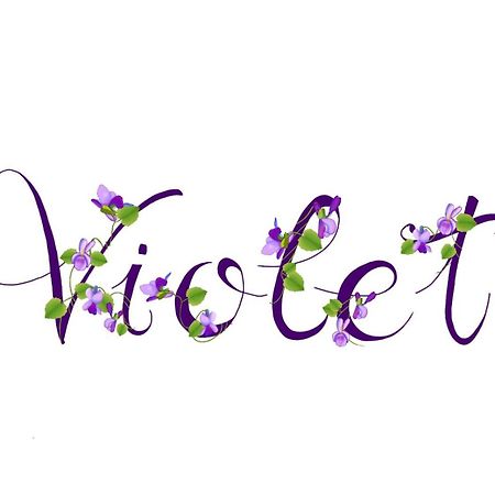 Appartamento Violet - Parma Eksteriør billede